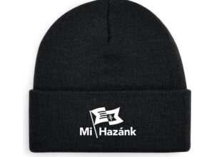 Winter hat